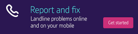 Report and fix landline problems online