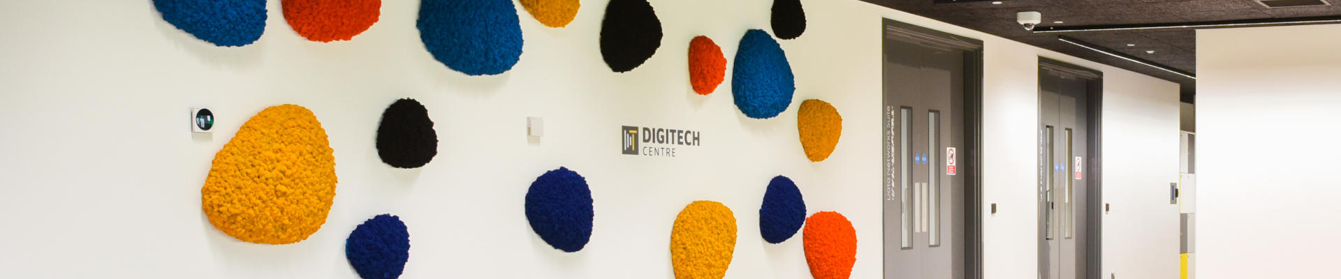 DigiTech colour wall