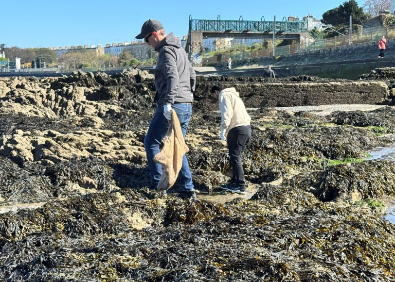 Clean-up events along Dublin’s beaches
