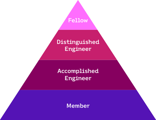 Tech Fellowship pyramid