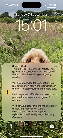 An example of an emergency alert test that you might get on your phone.