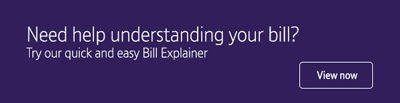 Bill Explainer